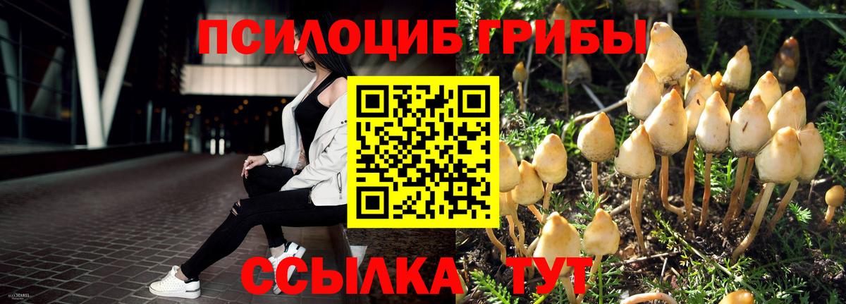 Галлюциногенные грибы мицелий Дмитров
